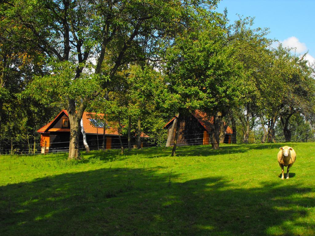 Agroturystyka Zacisze Czarna Owca Brzezanka 외부 사진